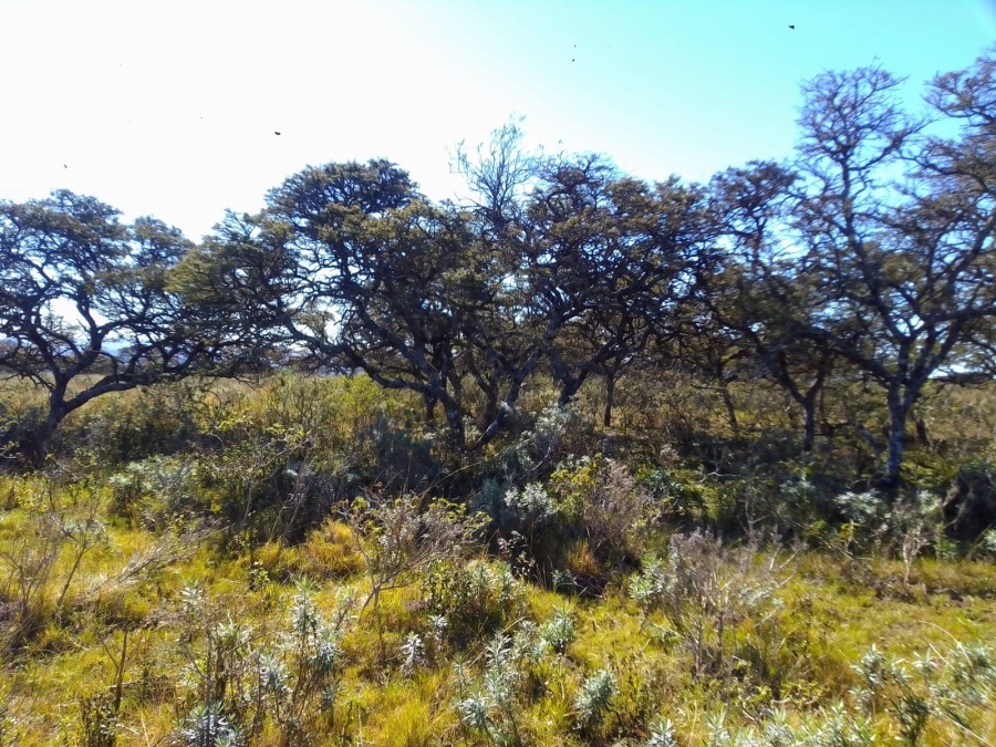 0 Bedroom Property for Sale in Stutterheim Rural Eastern Cape